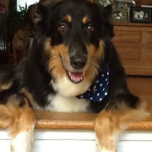 Meet your Posher, Vicki